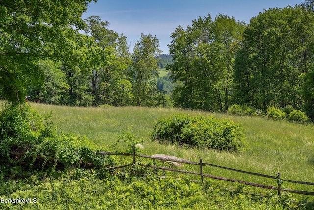 28 Main Rd, Tyringham, MA 01264 - view of woods