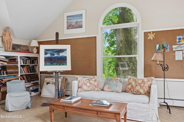 28 Main Rd, Tyringham, MA 01264 - living area with baseboard heating and lofted ceiling