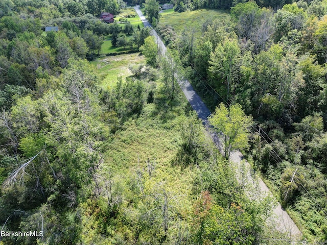 LOT20 Notch Rd, North Adams, MA 01247 - photo 6