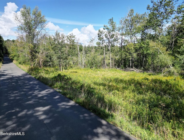 LOT20 Notch Rd, North Adams, MA 01247 - photo 5