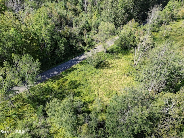 LOT20 Notch Rd, North Adams, MA 01247 - photo 7