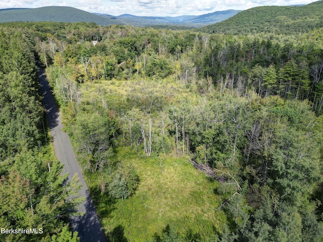 LOT20 Notch Rd, North Adams, MA 01247 - photo 3