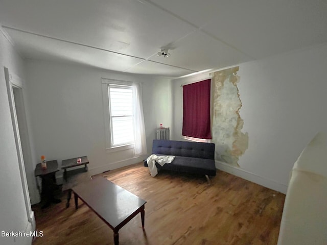 sitting room with wood-type flooring and radiator heating unit