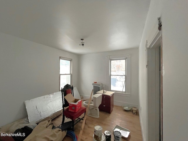 miscellaneous room with light hardwood / wood-style flooring