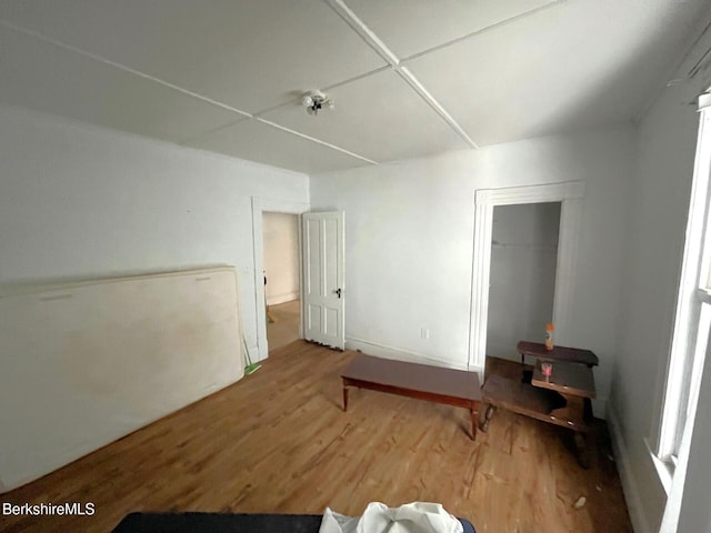 bedroom with wood-type flooring and a closet