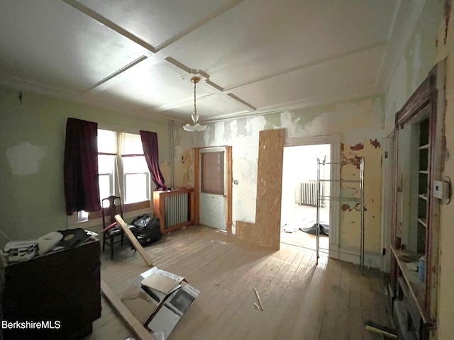 miscellaneous room with radiator and light hardwood / wood-style flooring