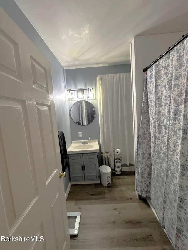 bathroom with vanity and wood-type flooring