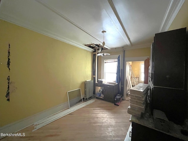 interior space featuring light wood-type flooring, ornamental molding, and radiator