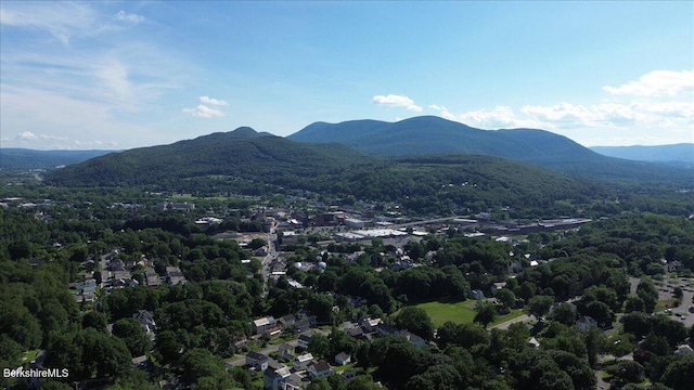 97 Barth St, North Adams, MA 01247 - photo 29