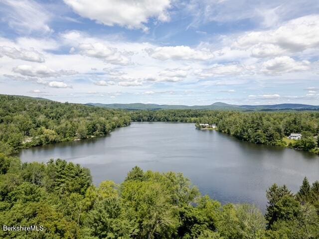 74 Prospect Lake Rd, Egremont, MA 01258 - photo 6