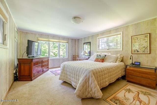 74 Prospect Lake Rd, Egremont, MA 01258 - photo 17
