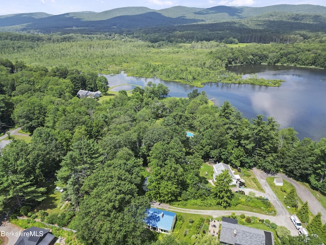 11 Squanto Rd, Lanesborough, MA 01237 - photo 36