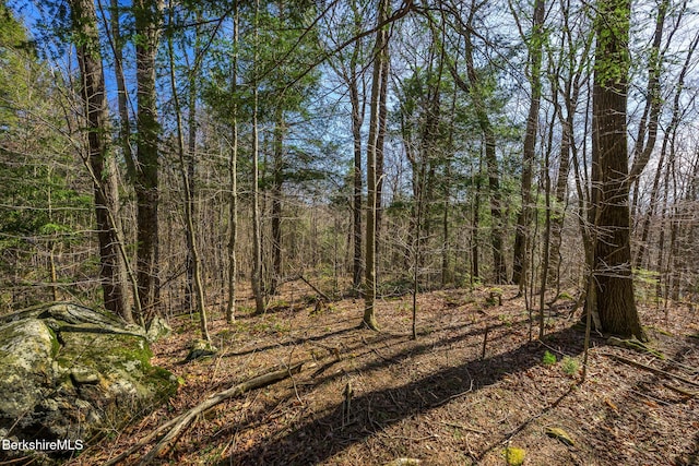 view of local wilderness featuring a view of trees