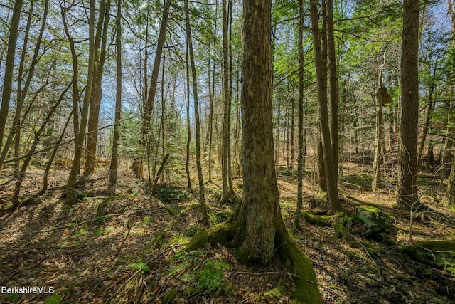 view of landscape with a view of trees
