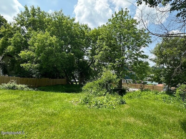 27-29 Daniels Ave, Pittsfield, MA 01201 - view of yard