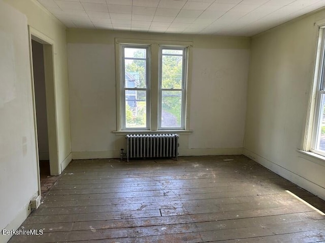 27-29 Daniels Ave, Pittsfield, MA 01201 - spare room featuring radiator, wood-type flooring, and healthy amount of natural light