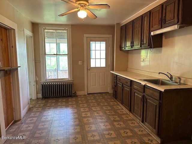 27-29 Daniels Ave, Pittsfield, MA 01201 - kitchen featuring radiator, a ceiling fan, dark brown cabinets, and light countertops