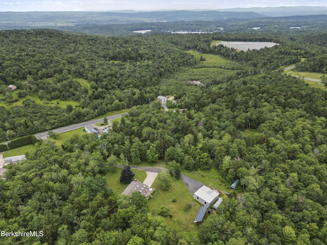 4 Birch Hill Rd, Peru, MA 01235 - aerial overview of property's location featuring a forest