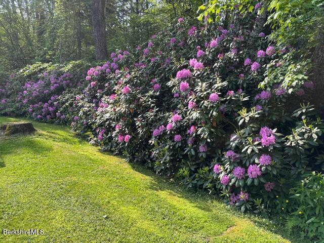 4 Birch Hill Rd, Peru, MA 01235 - view of green lawn