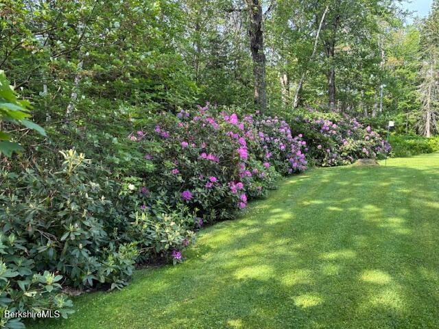 4 Birch Hill Rd, Peru, MA 01235 - view of green lawn