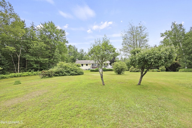 4 Birch Hill Rd, Peru, MA 01235 - view of grassy yard