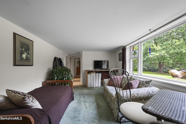 4 Birch Hill Rd, Peru, MA 01235 - living room featuring light colored carpet