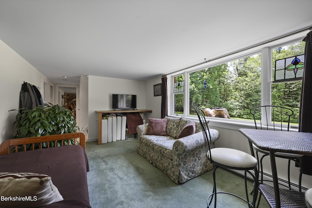 4 Birch Hill Rd, Peru, MA 01235 - view of carpeted living room