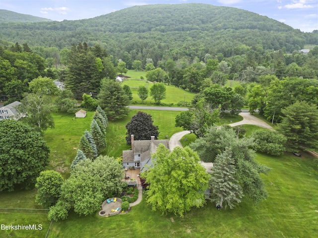 135 E St, Lee, MA 01238 - view of subject property featuring a forest and mountains