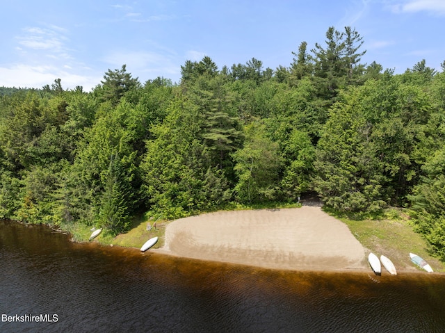 454 Seneca Dr, Becket, MA 01223 - drone / aerial view of a large body of water