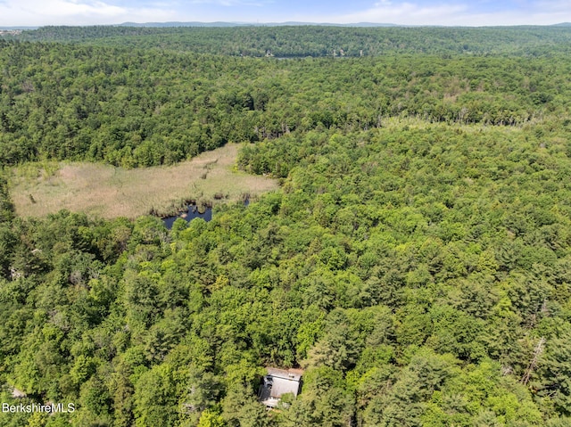 454 Seneca Dr, Becket, MA 01223 - bird's eye view of a heavily wooded area