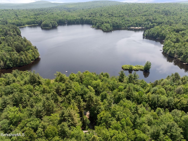 454 Seneca Dr, Becket, MA 01223 - bird's eye view of a large body of water