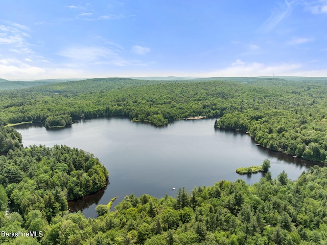454 Seneca Dr, Becket, MA 01223 - drone / aerial view of a heavily wooded area and a large body of water