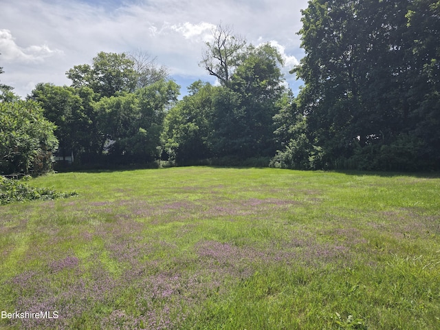 0 Simonds Rd, Williamstown, MA 01267 - photo 3