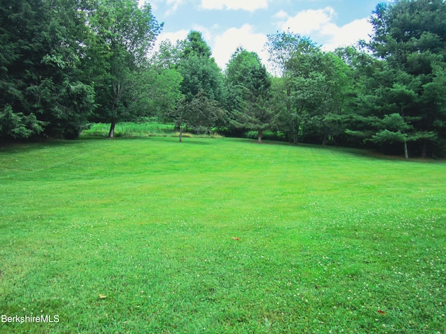 805 Savoy Rd, Cheshire, MA 01225 - view of green lawn