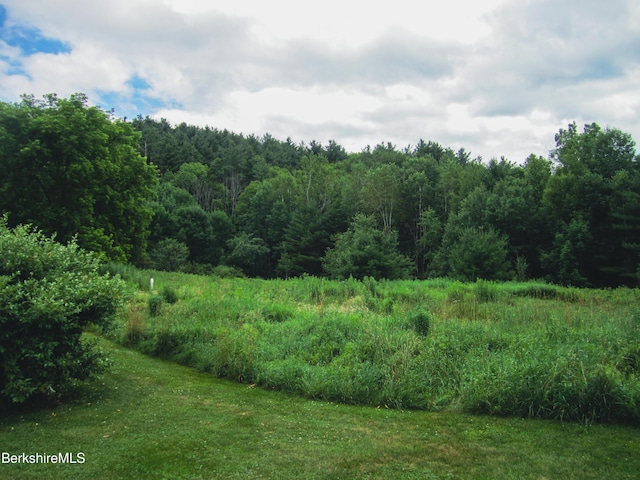 805 Savoy Rd, Cheshire, MA 01225 - view of wooded area