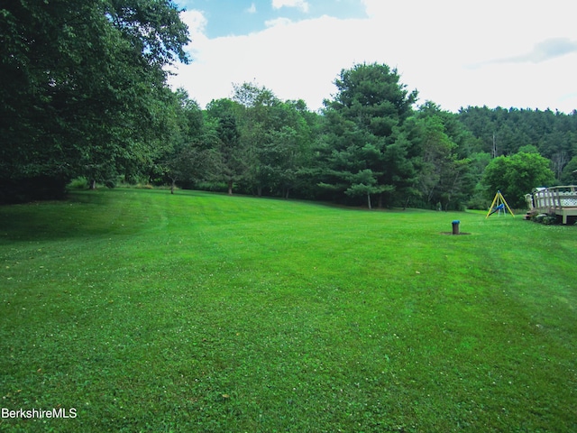 805 Savoy Rd, Cheshire, MA 01225 - view of green lawn featuring a forest view