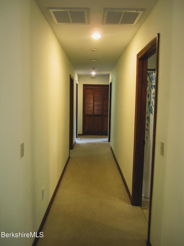 805 Savoy Rd, Cheshire, MA 01225 - hall with light colored carpet and baseboards