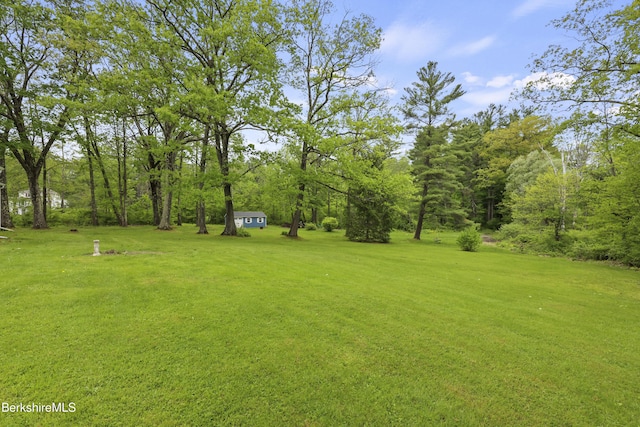 135 Church Ln, Richmond, MA 01254 - photo 32
