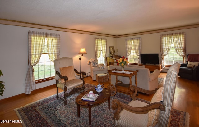 131 Wilshire Dr, Cheshire, MA 01225 - living room with ornamental molding, a baseboard radiator, and wood finished floors