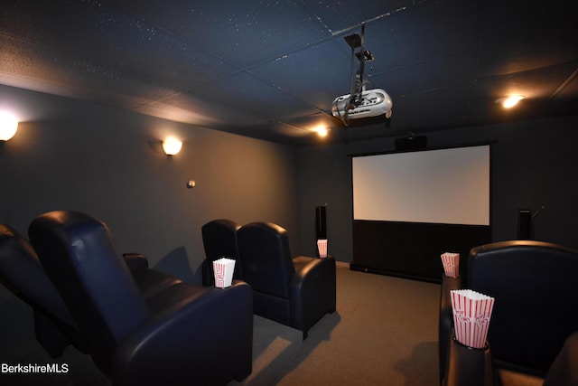 131 Wilshire Dr, Cheshire, MA 01225 - cinema with carpet floors and a paneled ceiling
