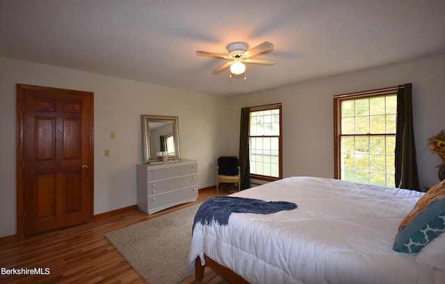 131 Wilshire Dr, Cheshire, MA 01225 - bedroom with wood finished floors and ceiling fan