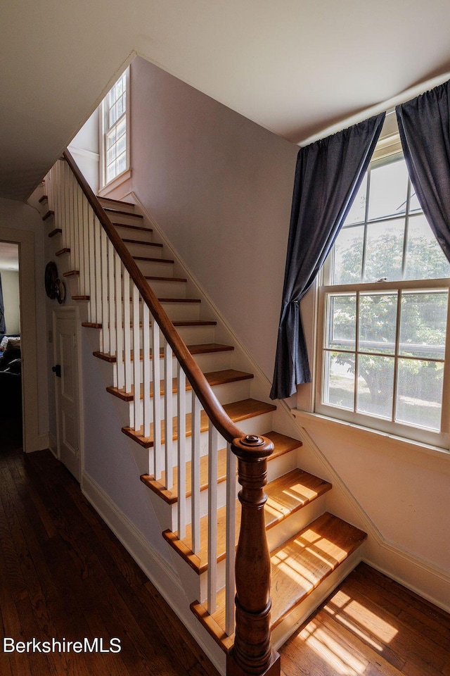 staircase featuring hardwood / wood-style floors