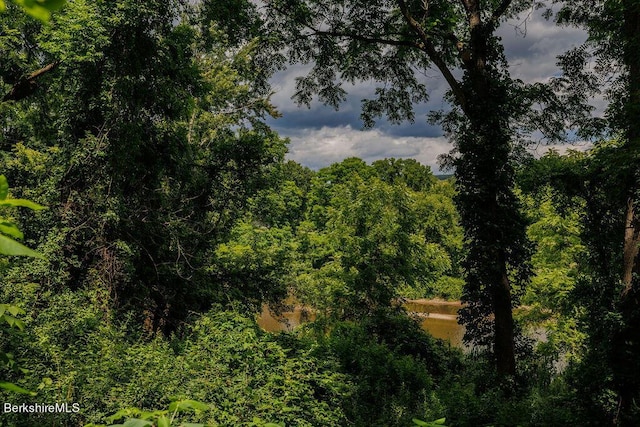 view of local wilderness with a water view