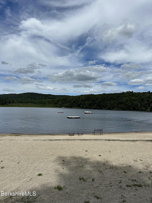 43 Brook Ln, Becket, MA 01223 - photo 8