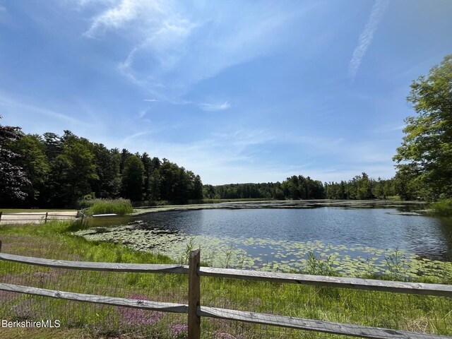 19 Great Barrington Rd, West Stockbridge, MA 01266 - photo 26