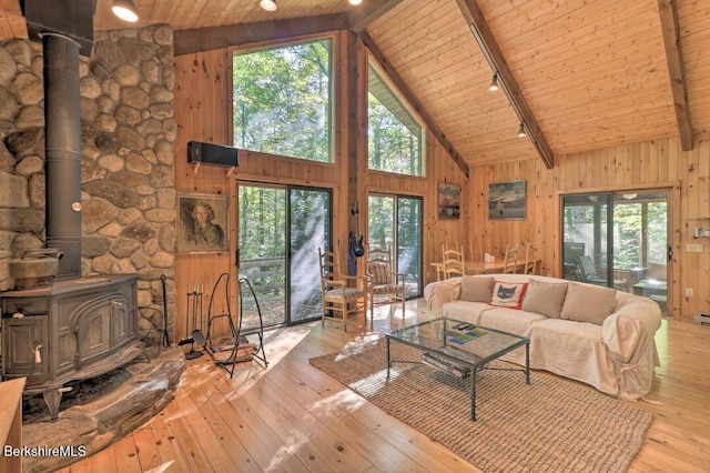living room with a wood stove, wooden walls, plenty of natural light, and hardwood / wood-style floors