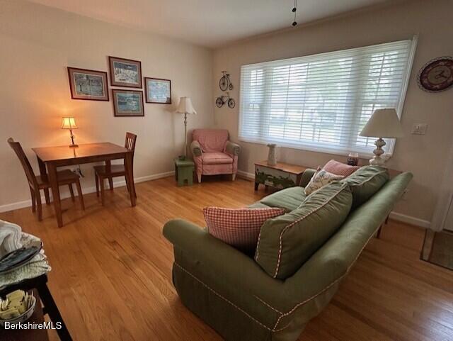62 Maple Grove Dr, Pittsfield, MA 01201 - living room featuring baseboards and wood finished floors