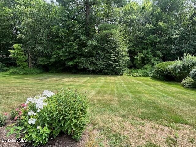 62 Maple Grove Dr, Pittsfield, MA 01201 - view of green lawn