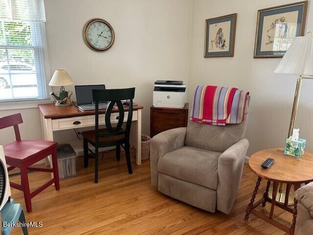 62 Maple Grove Dr, Pittsfield, MA 01201 - office with light wood-style flooring