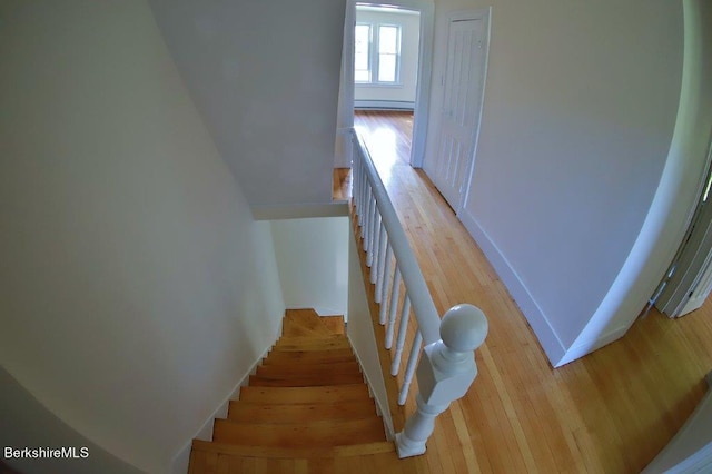 stairs featuring hardwood / wood-style flooring